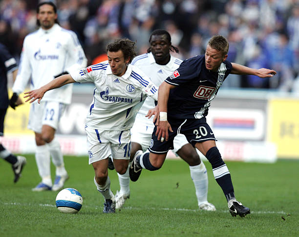 什琴斯尼特 什琴斯尼特