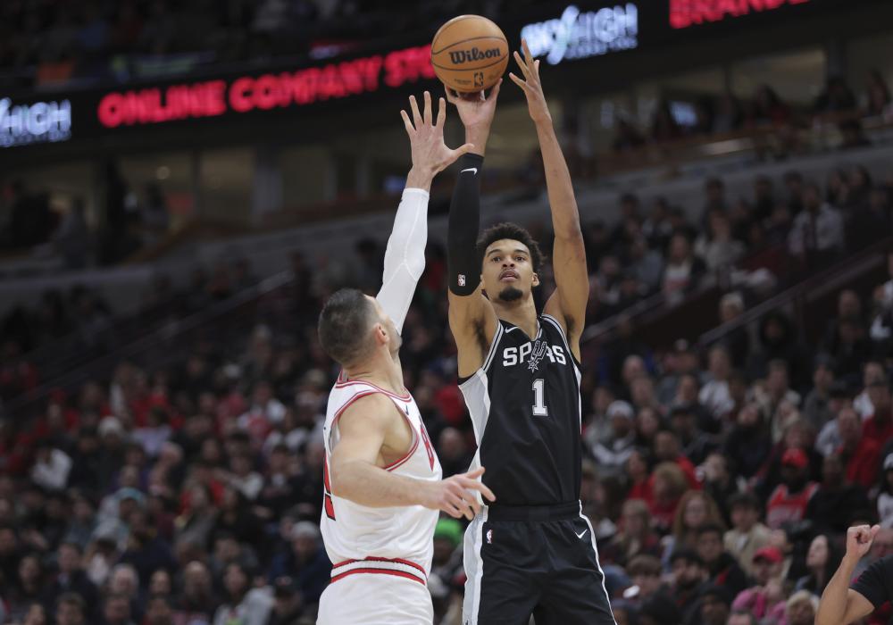 灰熊的问题 灰熊的问题